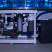 Zebrafish core facility